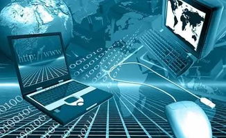 信息科學學院2017高考招生特輯 互聯網信息技術服務專業詳解