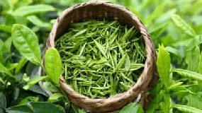 大益東和茶葉網